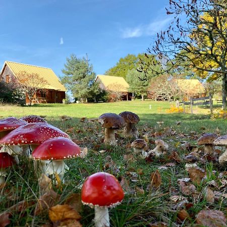 Chalets De L Empereur Ussel  Eksteriør bilde